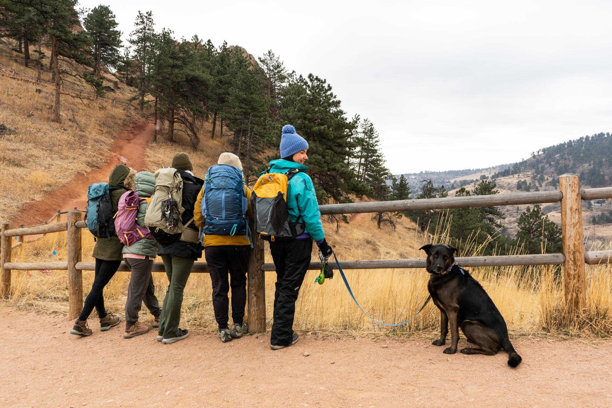 Five people leaning against a fence at a trailhead, person in the foreground looks at a dog they have on a leash.