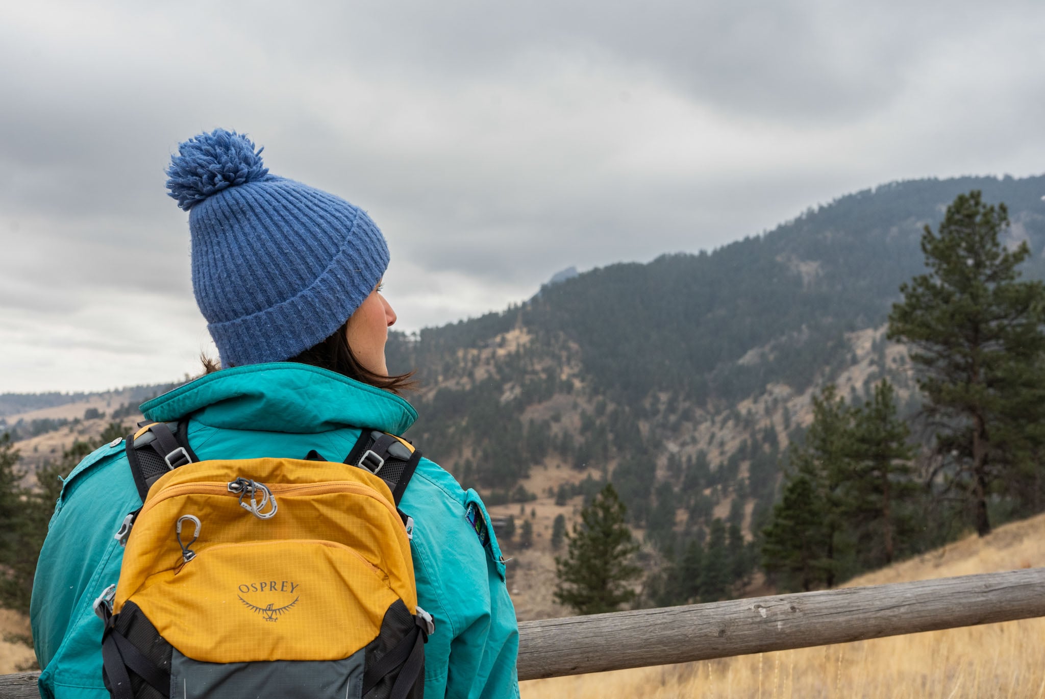 A person stands with their back to the camera and looks off to the right, mountains in the background.