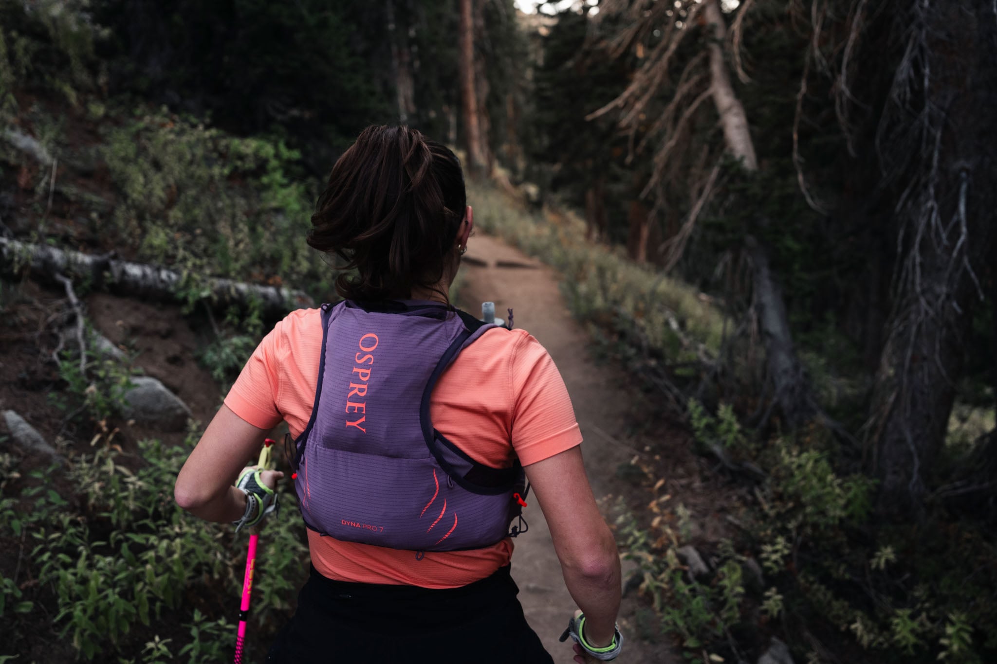 A person runs away from the camera on a forest trail with hiking poles.
