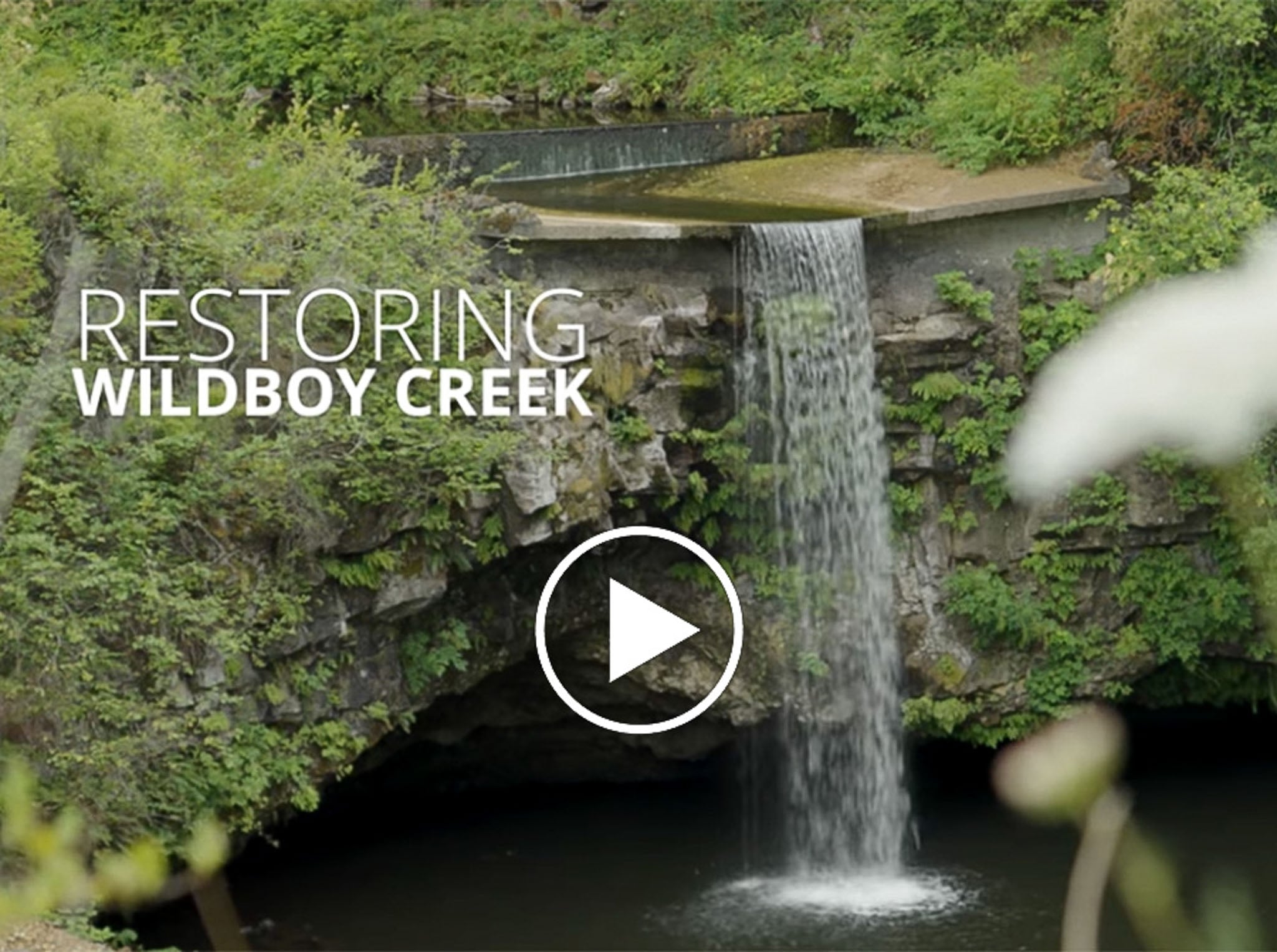 A dam with "Restoring Wildboy Creek" and a play button on top.