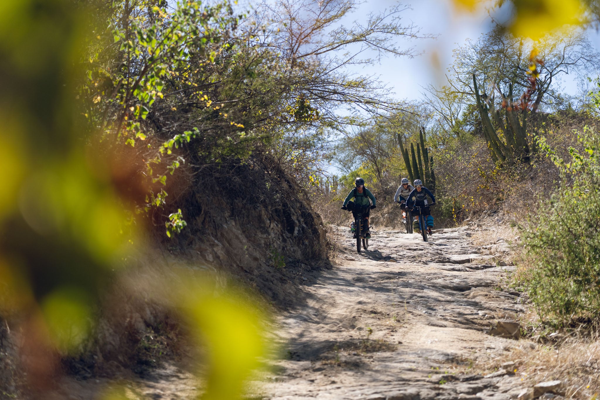 Three cyclists bike down a rocky sandy trail.