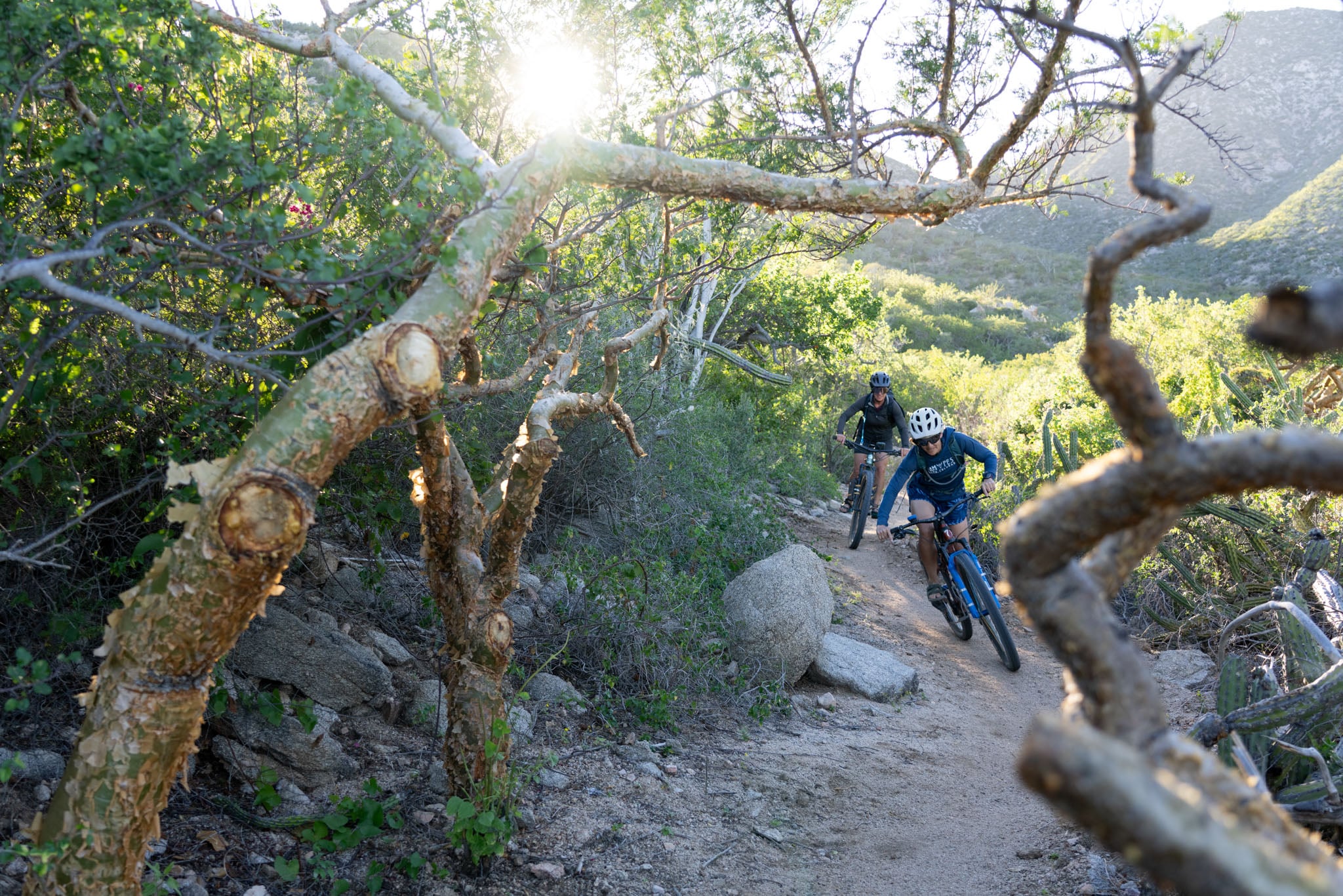 Two cyclists ride down a trail through the trees.