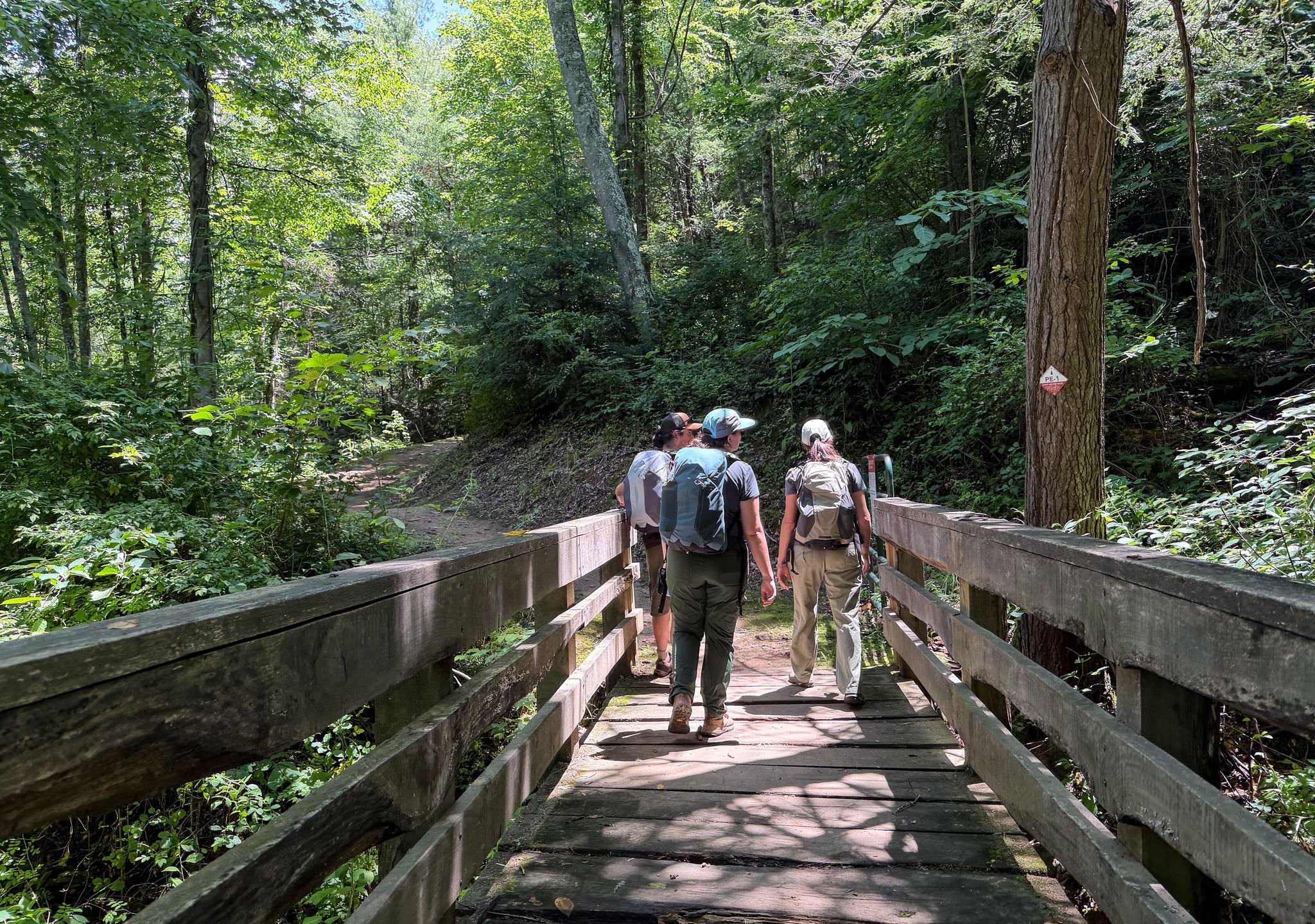 A group of people cross a wooden bridge in the forest.