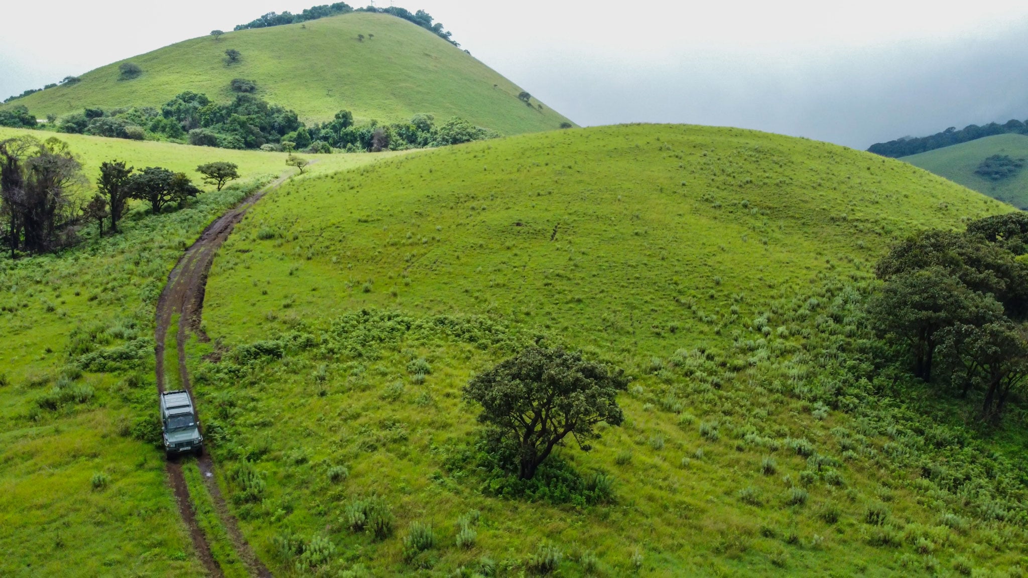 A car drives on a trail through green grass.