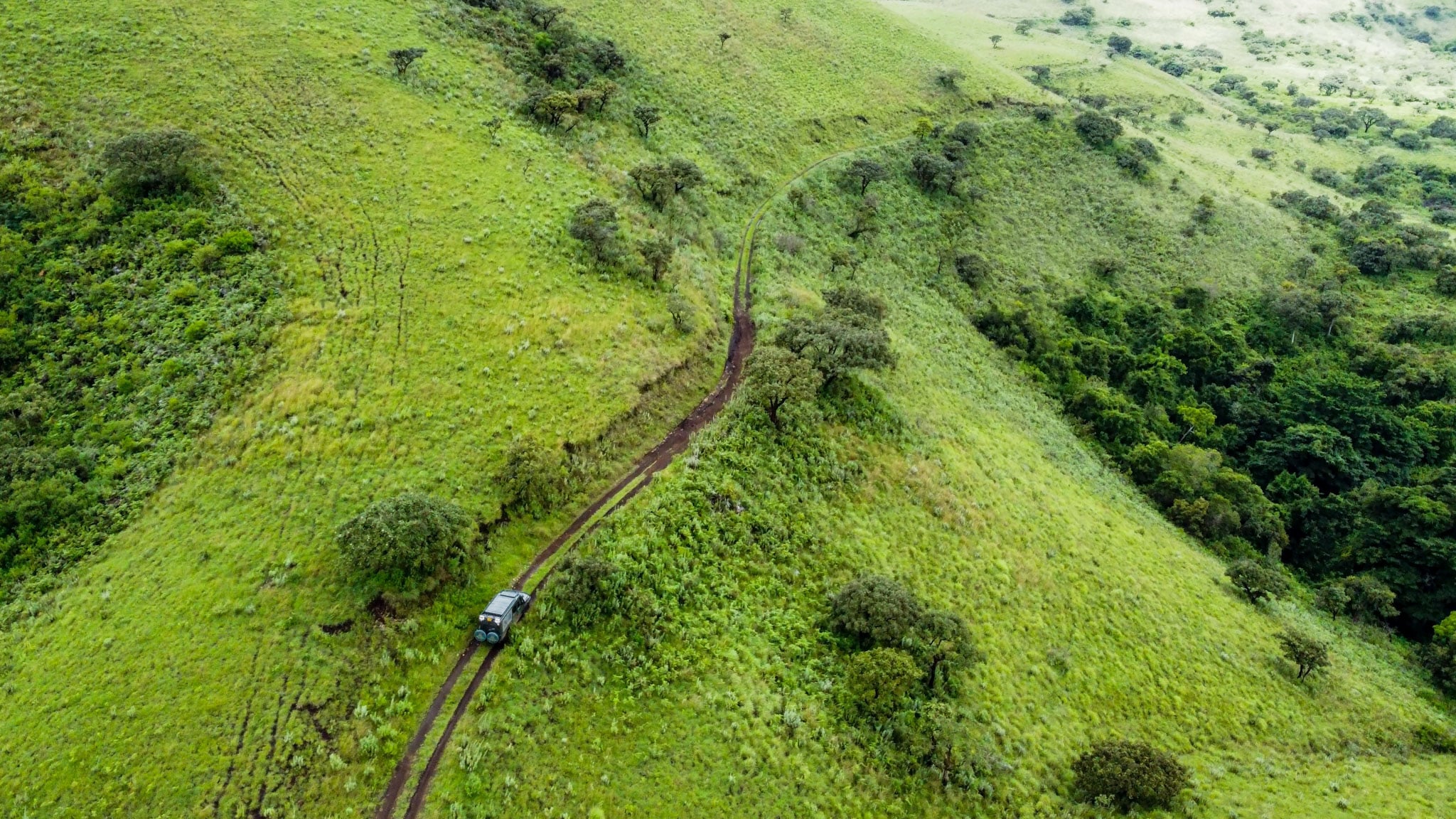 A car drives on a trail through green grass.