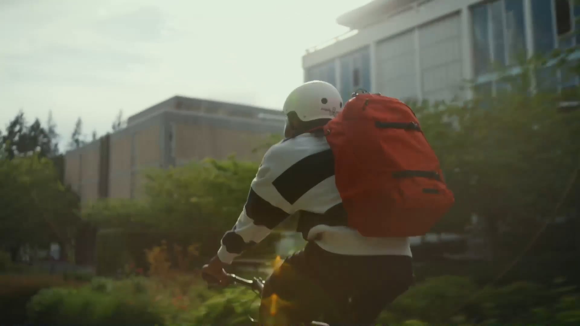Homepage Video