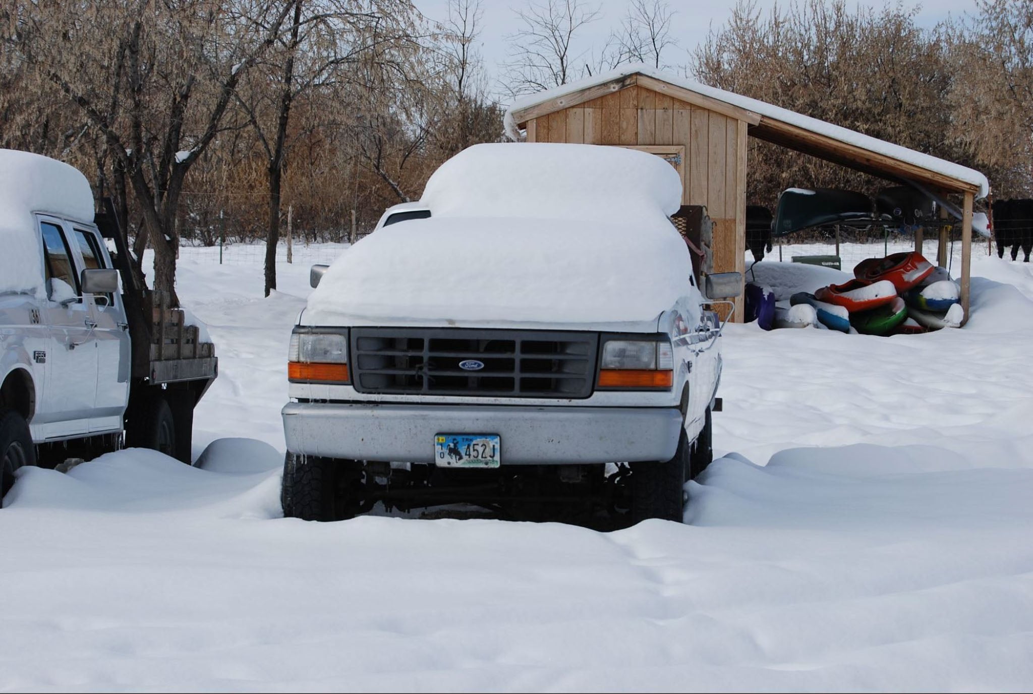 A truck parked in front of a shed loaded with snow.