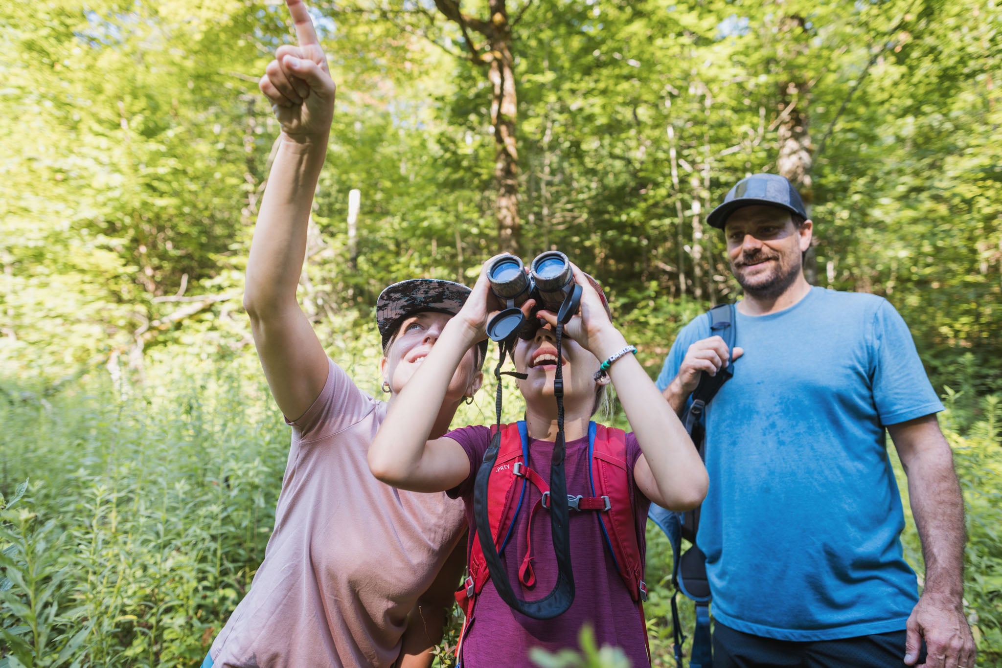 A family of three use binoculars to look at birds in the forest.